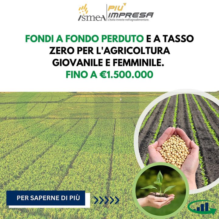 fondo-perduto-puglia